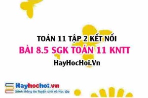 Bài 8.5 SGK Toán 11 Tập 2 Kết nối tri thức